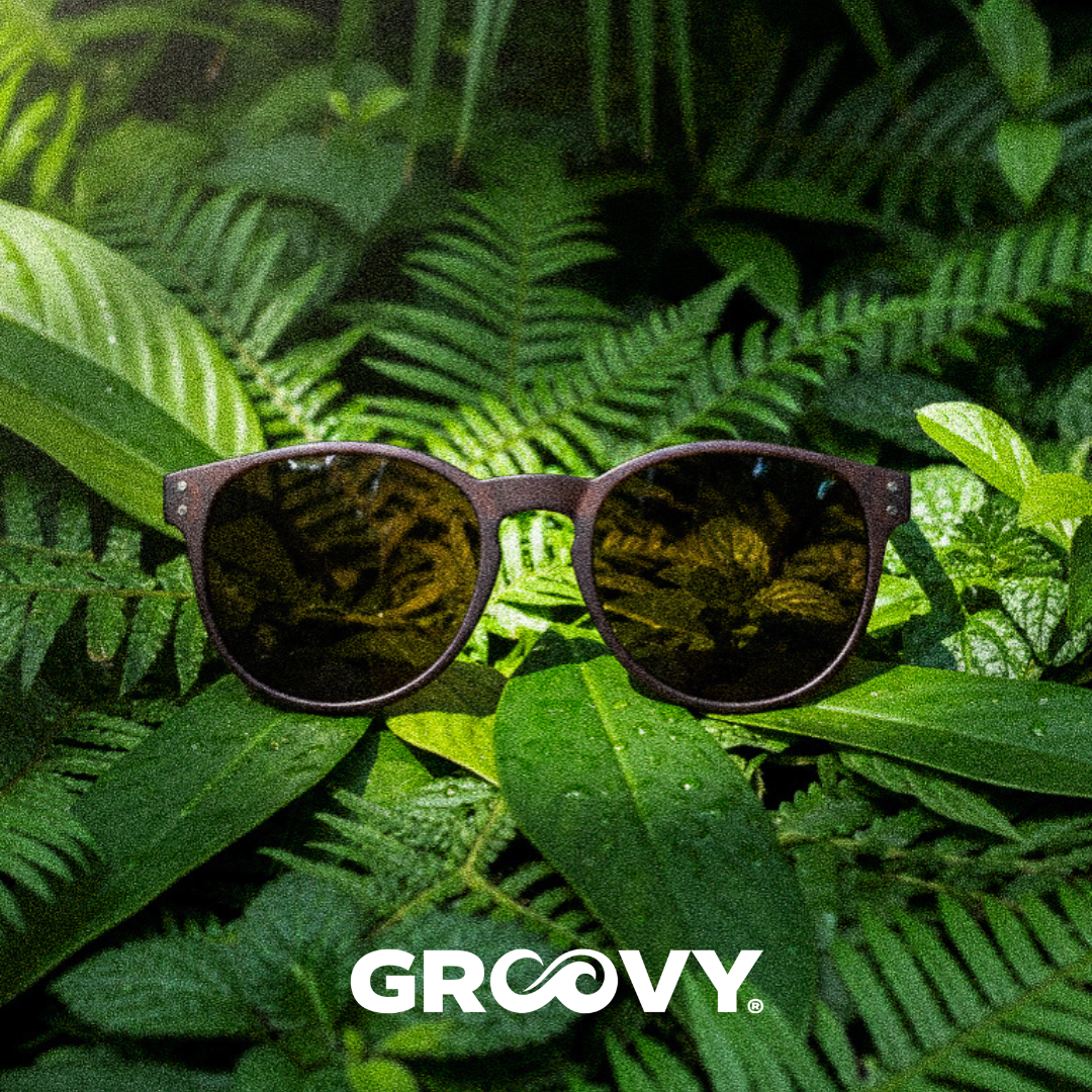 Lentes de sol de madera